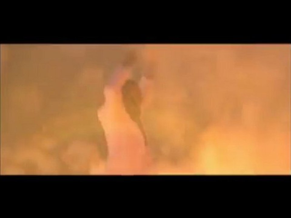 Nuit Blanche 2010 du Petit Paumé (14 Oct 2010)