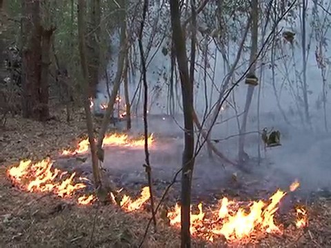 Le Journal vidéo du mercredi 11 août 2010, édition de 18H00.