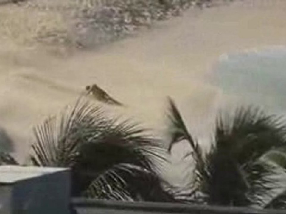 Guy Gets Owned By Airplane on Beach