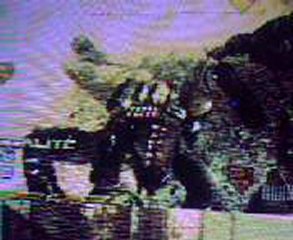 bug image cod 6 rust