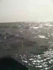 "Une mer très difficile à nager"