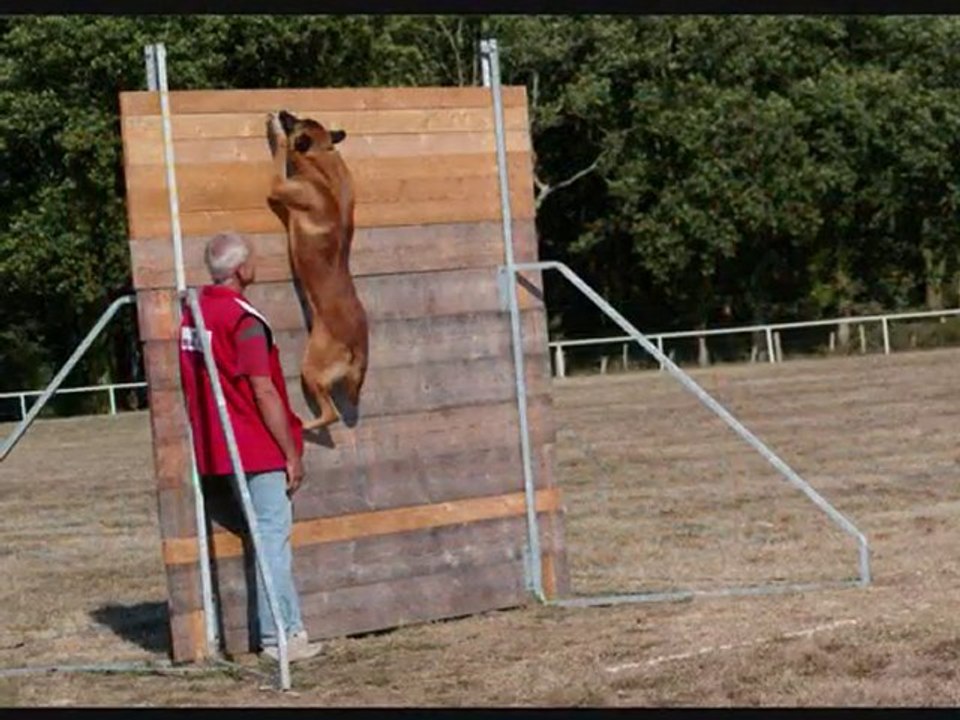 Ring 3, Jean-François et Balak aout 2010