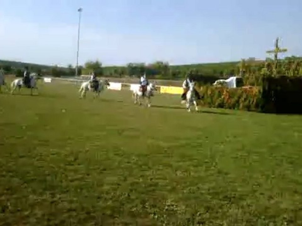 camargue equitation