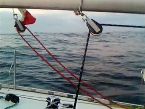 mini 650 n°402 qualif 7