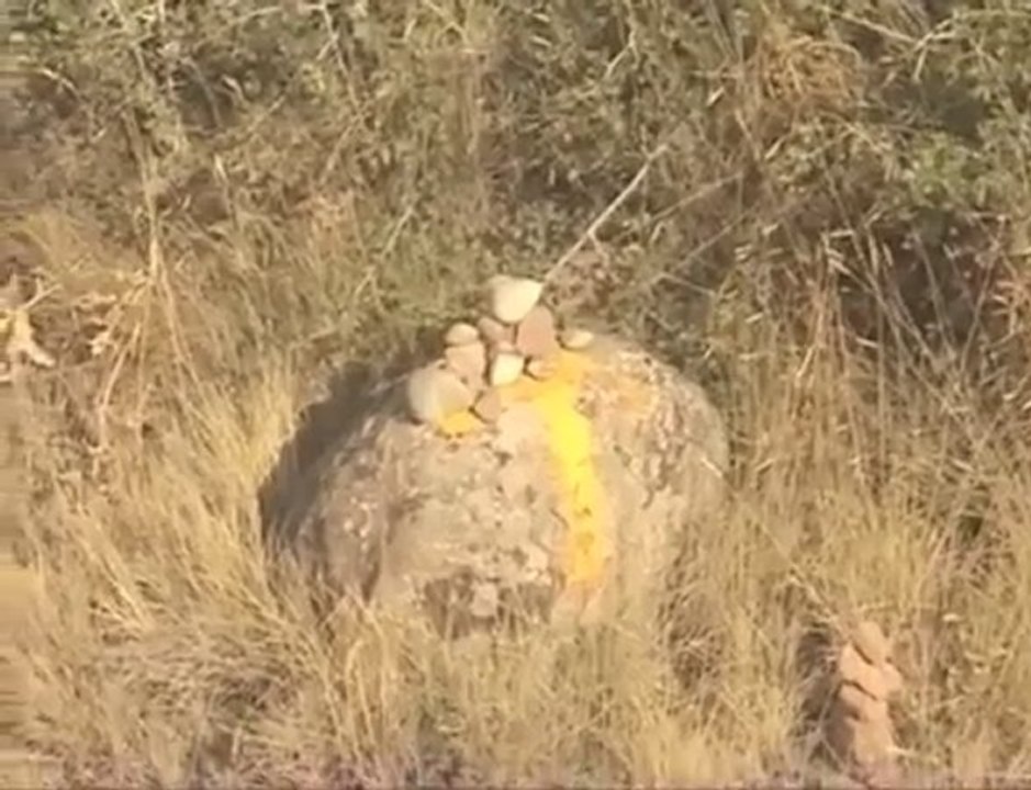 Chemin 5/8 Le Puy Santiago : Irache - Fromista.