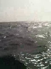 "Une mer difficile à nager"