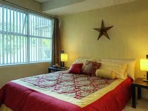 1 Bed 1 Bath BEAUTIFUL New West CONDO