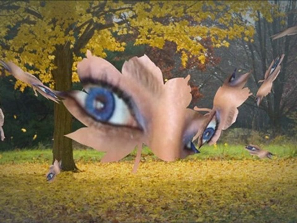 İzzet Yıldızhan - Yaprak Gibi