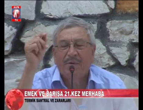 Termik Santralin Zararları 1
