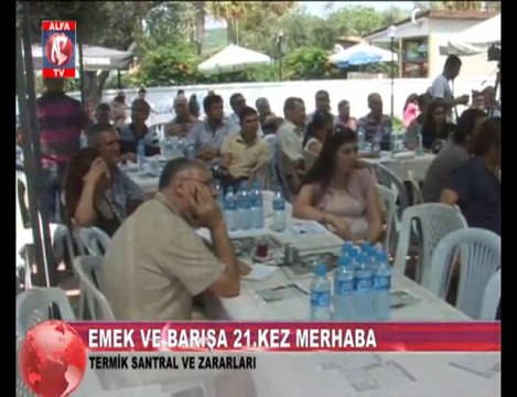 Termik Santralin Zararları 3