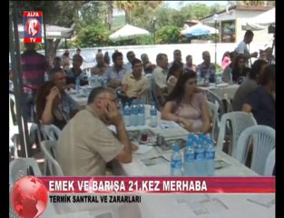 Termik Santralin Zararları 3