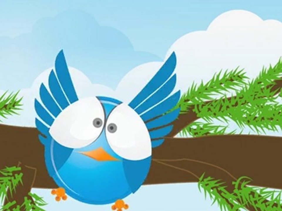 L'oiseau Twitter apprend à voler