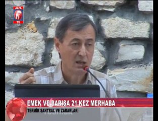 Termik Santralin Zararları 4