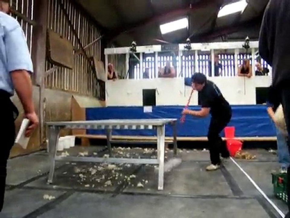 Concours pour la meilleure ramasseuse de laine