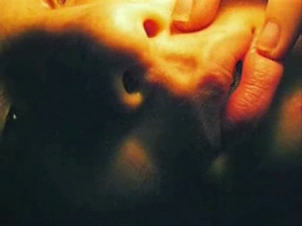 LE DERNIER BAISER