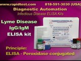 Lyme Disease IgG,M ELISA kit