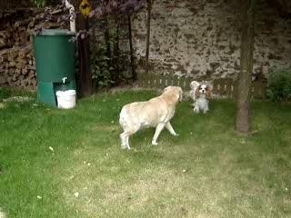 ça défoule épisode 2