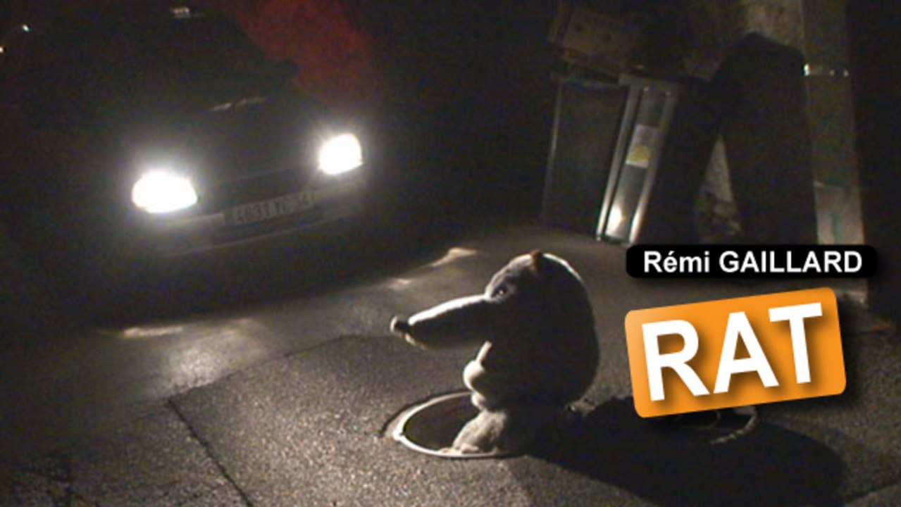 Rat (Rémi Gaillard)