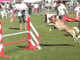 byron agi 1 trophée 2010
