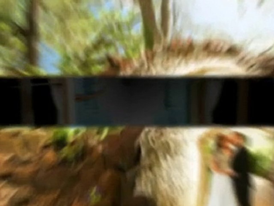 wedding photographers lafayette LA