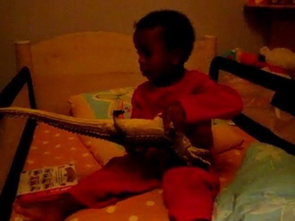 Mais ou sont ils ???