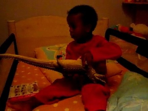 Mais ou sont ils ???