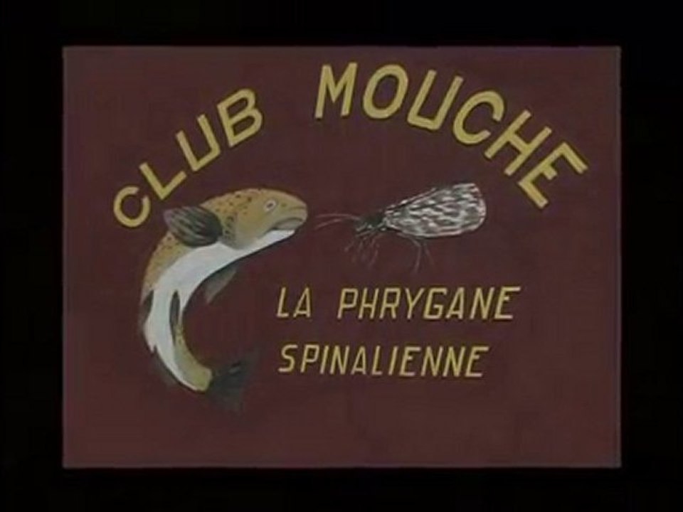 club Mouche EPINAL