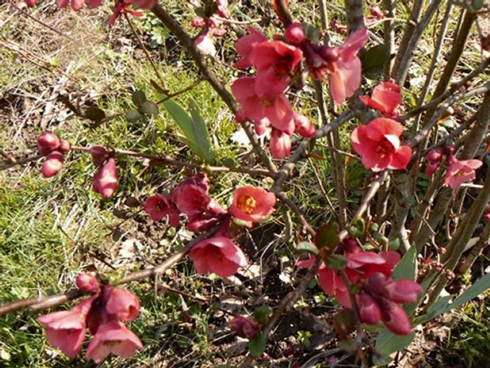 100405 BOUCIEU