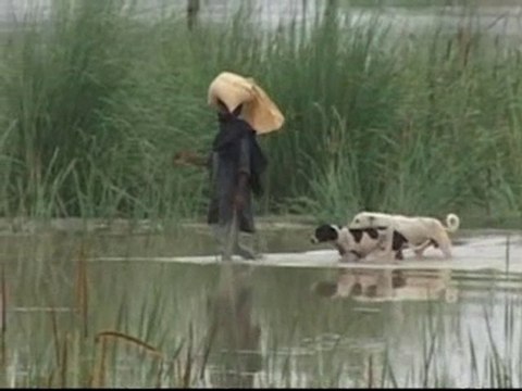 Humans are contributing to extreme global weather