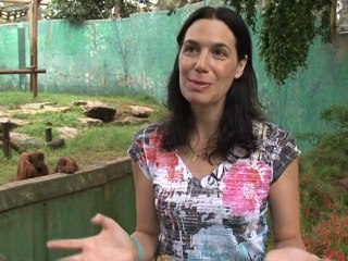 Ageing orangutan brings hope with new birth