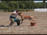 Ring concours La Chapelle des Marais 2010