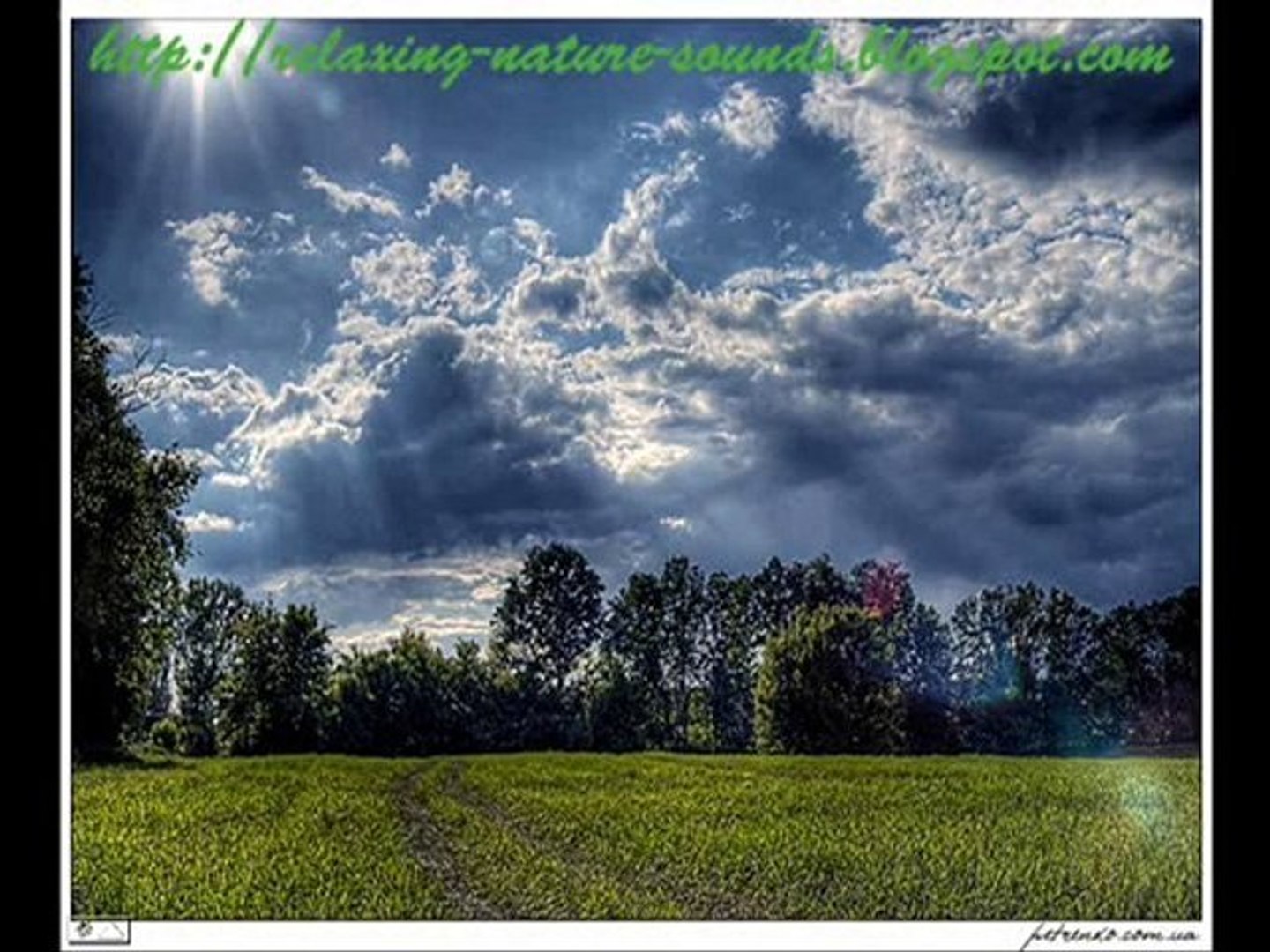 ⁣Relaxing Nature Sounds Therapy