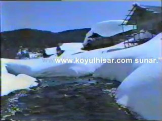 Koyulhisar Egricimen Yaylasi 1994