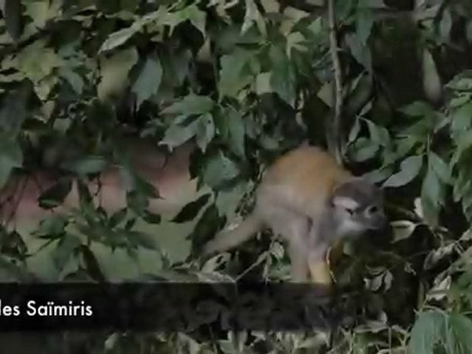Zoo de la Bourbansais
