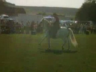 camargue equitation