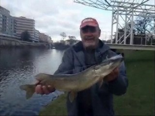 Pike Fly fishing 2010 !