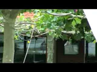 Nieuwsuitzending 12 augustus