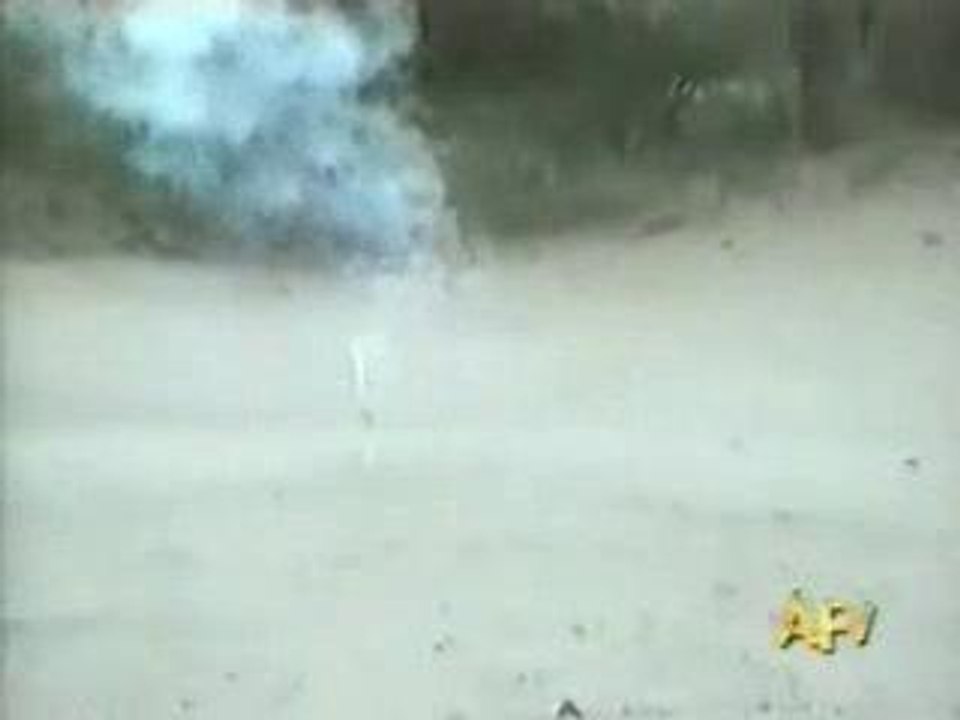The Attack of the Firework Dog