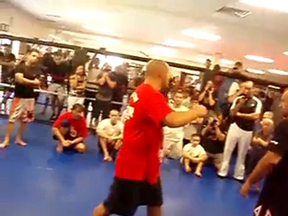 fedor - Kick Defense