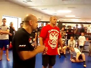 fedor Striking