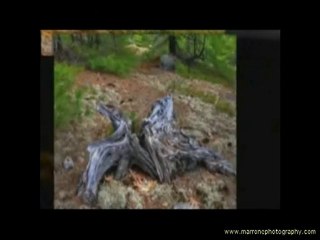 Photography in the Adirondack Mountains