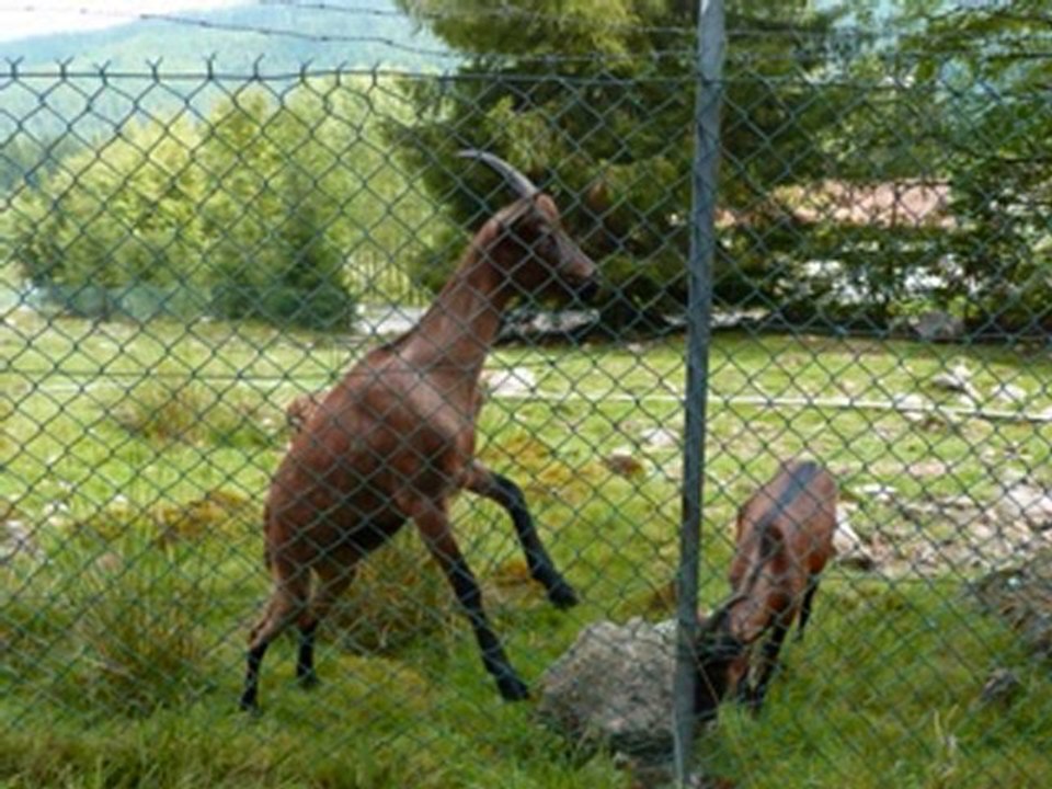suite de nos vacance a gerardmer