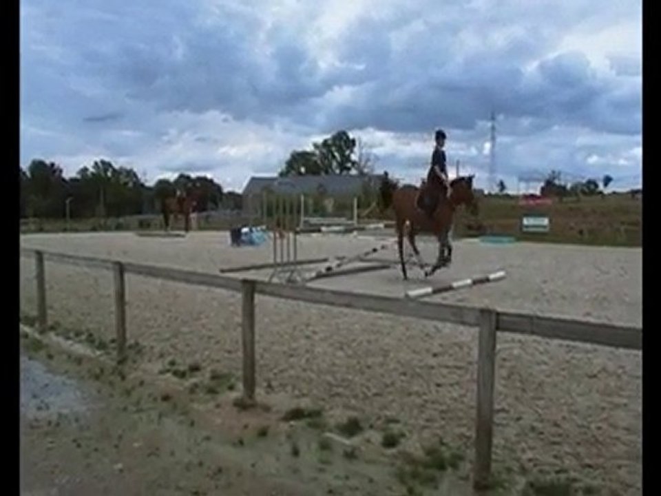 Roxana et moi - Séance d'obstacle 12 Août