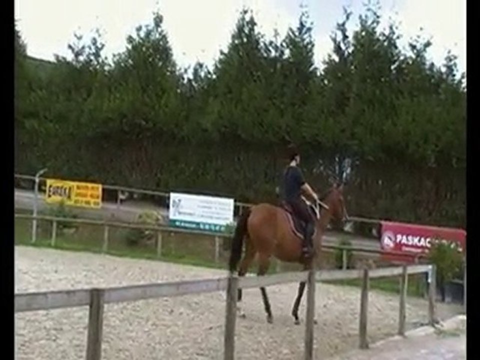 Roxana et moi - Séance d'obstacle 12 Août