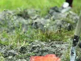 Miami Music Video: ¡MAYDAY! - I'll Be Gone