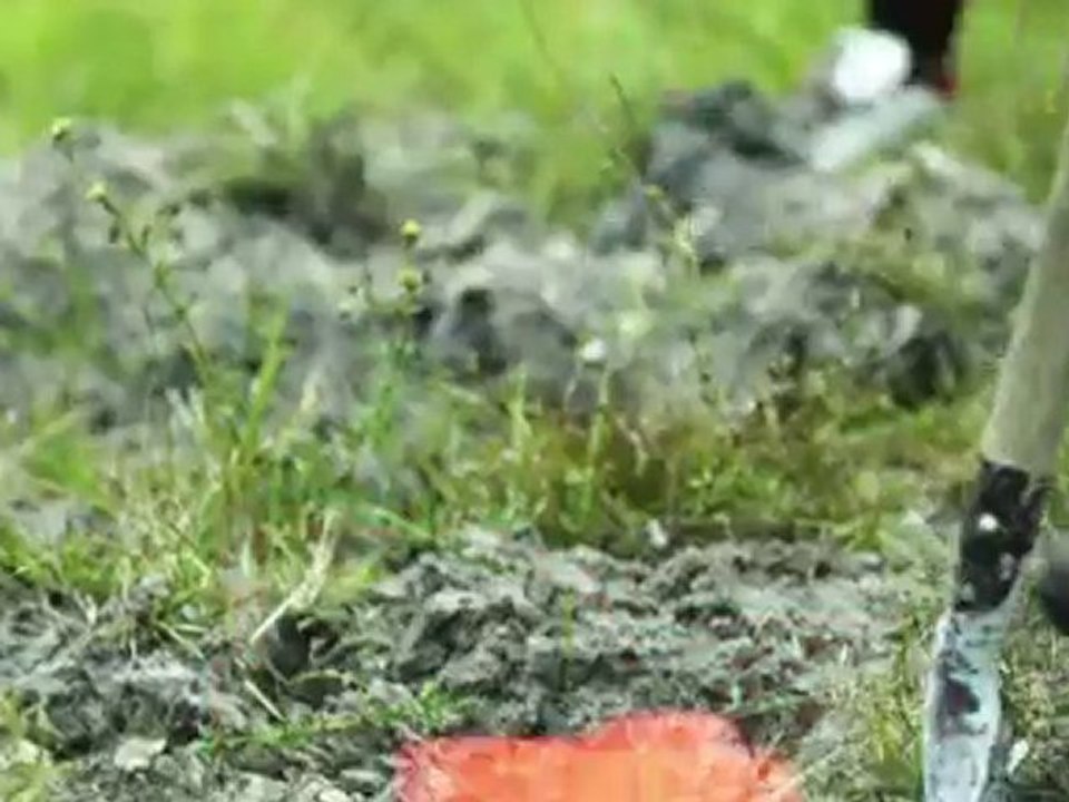 Miami Music Video: ¡MAYDAY! - I'll Be Gone