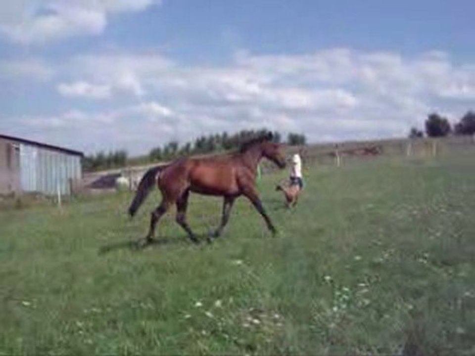 DSCF1762