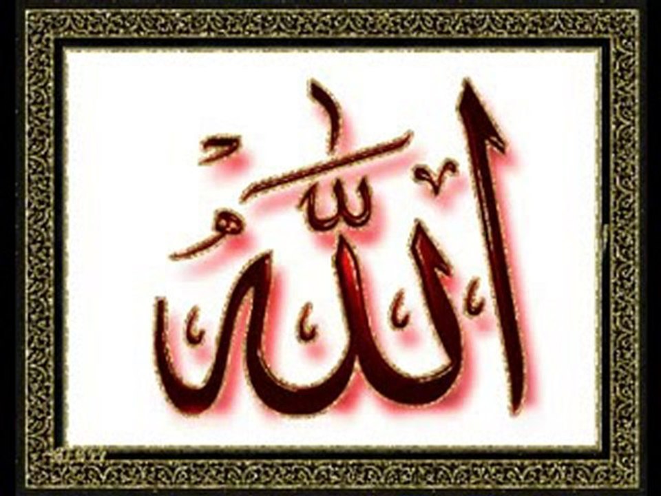 Timurta Hocamz Hani Fikir Hrriyeti