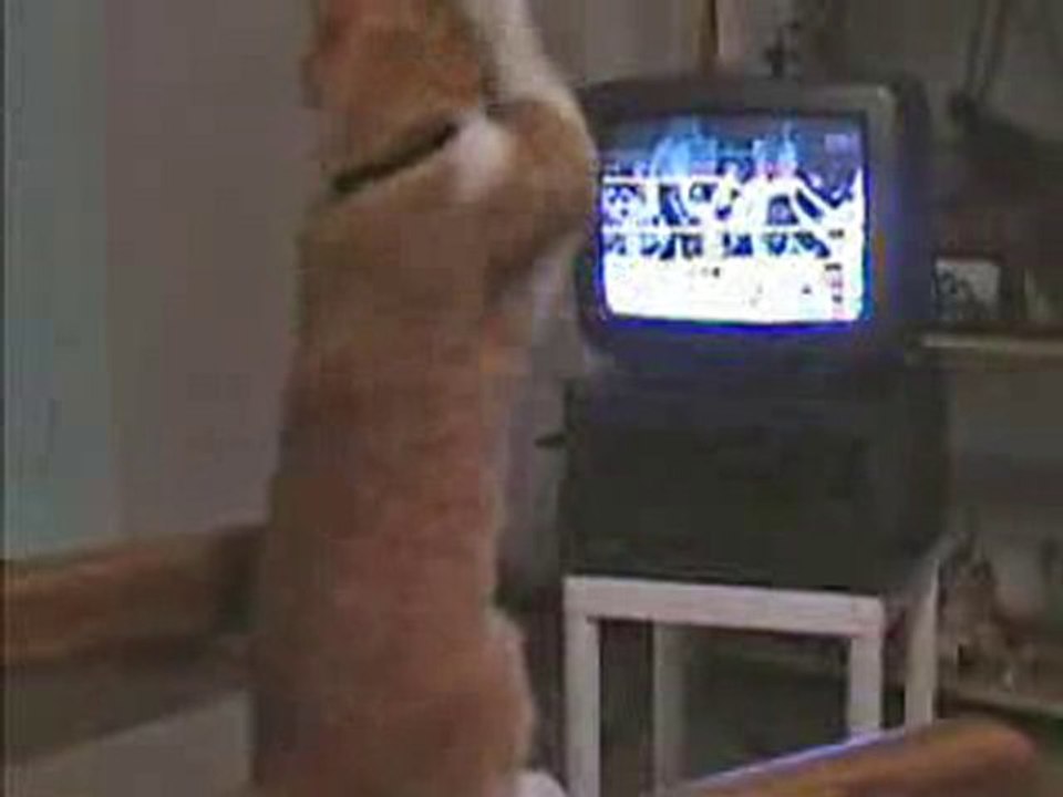 ATTENTION DANGER;;;; MDR