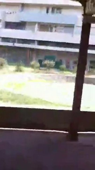 Ânes en peine Theatre Et Compagnie